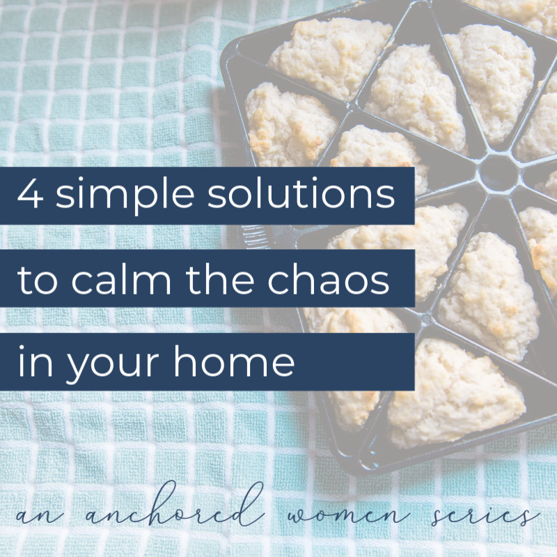 Simple Solutions // Live Events